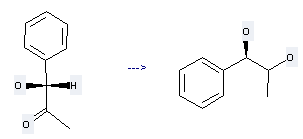 2-Propanone,1-hydroxy-1-phenyl-, (1R)- can be used to produce 1-phenylpropane-1,2-diol at the temperature of 0 °C
